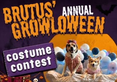Brutus Barkery + Bath: Brutus’ Annual Growloween